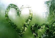 冰岛战胜立陶宛，主场:赢得比赛