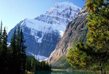 韩国射击运动员在步枪比赛中取得突破性成绩