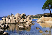 手球比赛男选手团队实力称冠